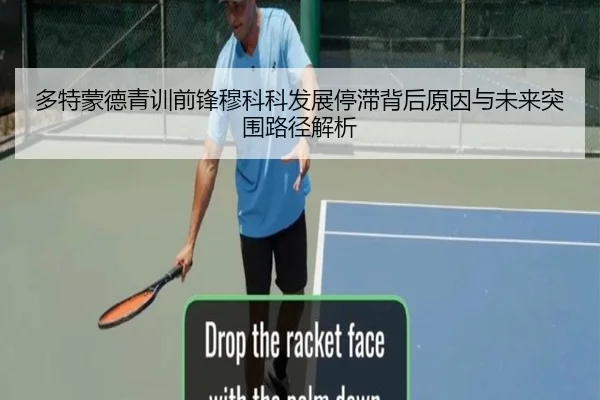 多特蒙德青训前锋穆科科发展停滞背后原因与未来突围路径解析