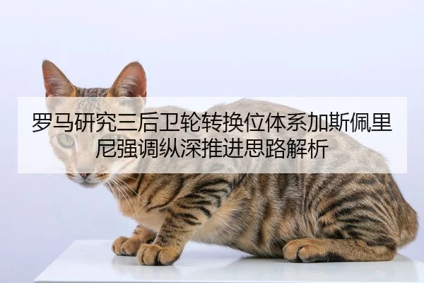 罗马研究三后卫轮转换位体系加斯佩里尼强调纵深推进思路解析